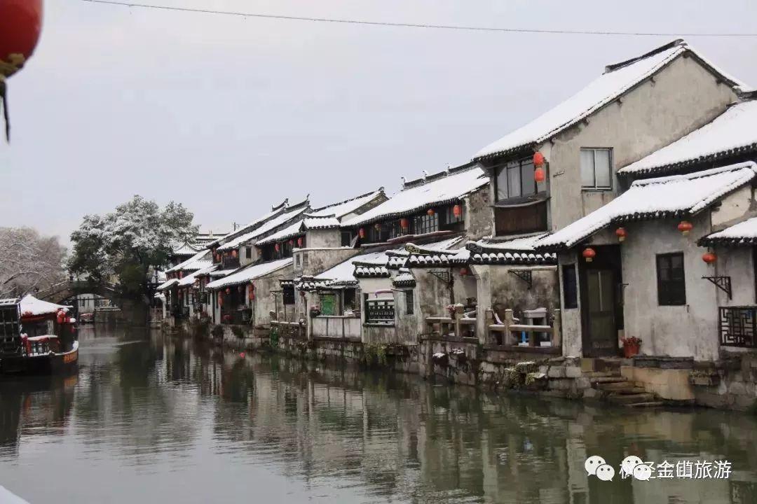 寻找迷路的松鼠